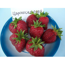 Царскосельская. Клубника (земляника садовая). КОЛИЧЕСТВО 3 шт